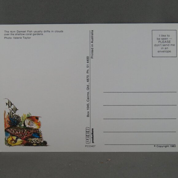 Vintage Postcard - Damsel Fish Great Barrier Reef Australia - Peer Productions - Picture 2 of 4